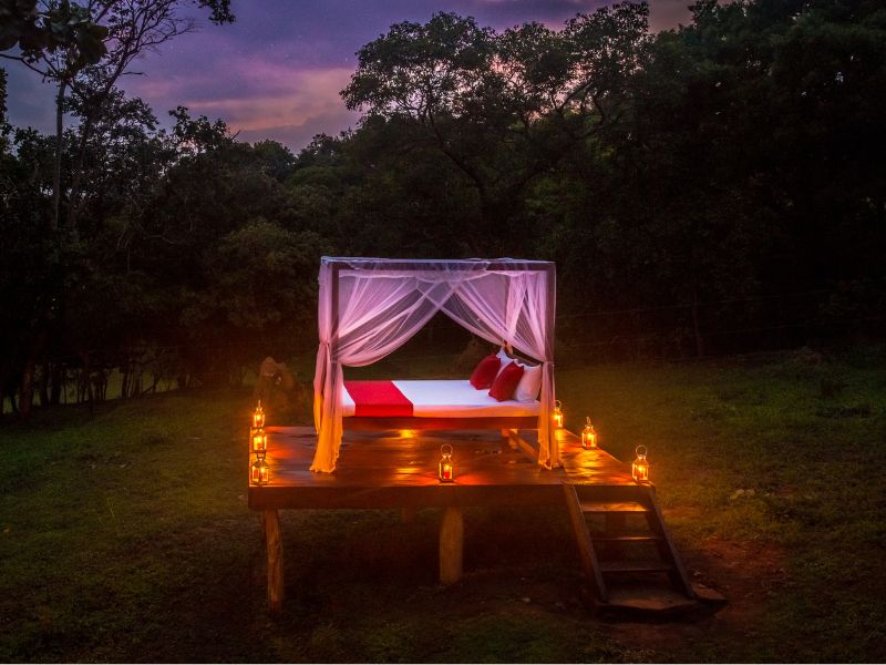 star beds at ahaspokuna in Sri Lanka 