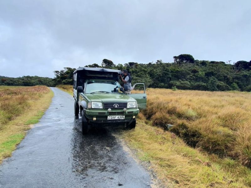 Cloud safari experience