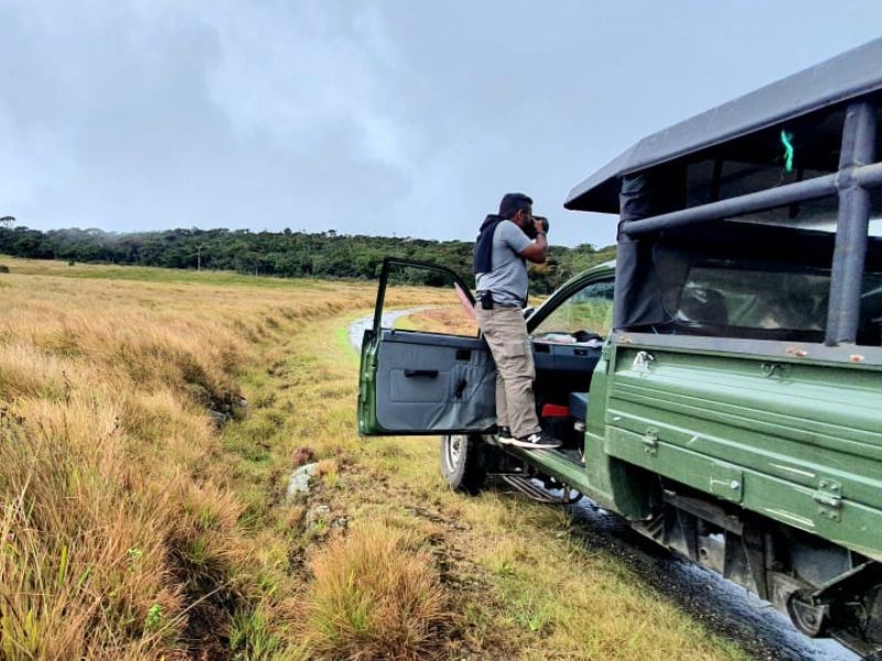 A man experiencing the cloud safari 