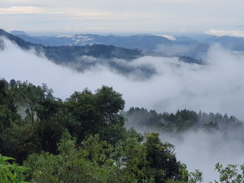 Cloud safaris at Devil staircase