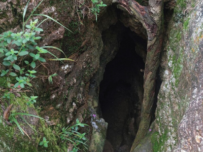 Stripura caves